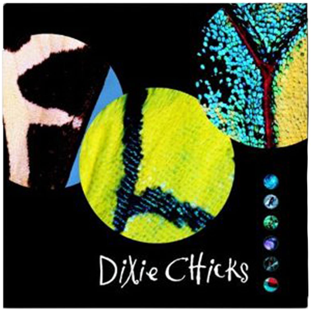 見事な Fly LP – The Chicks その他